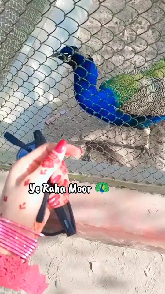 TikTok video thumbnail by rose44_official