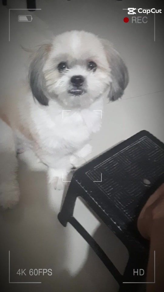 TikTok video thumbnail by tinderellamomsh8