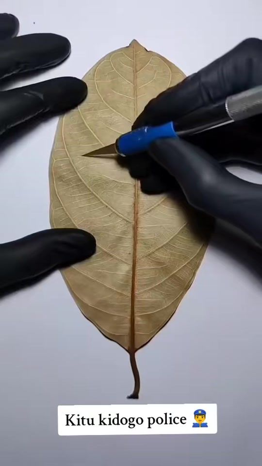 TikTok video thumbnail by king_of_arts3