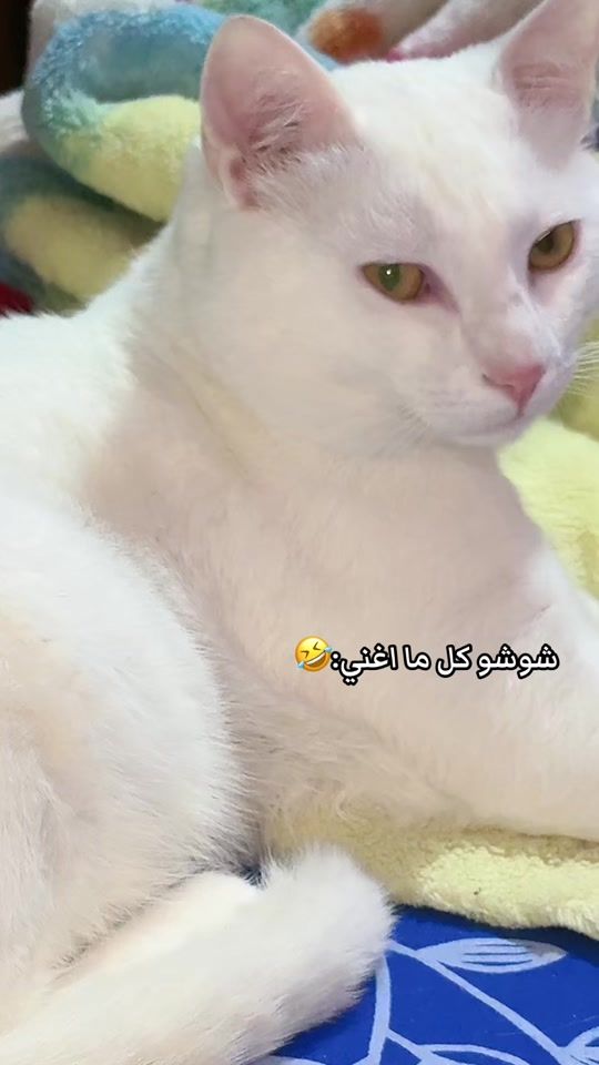 TikTok video thumbnail by mi.x09