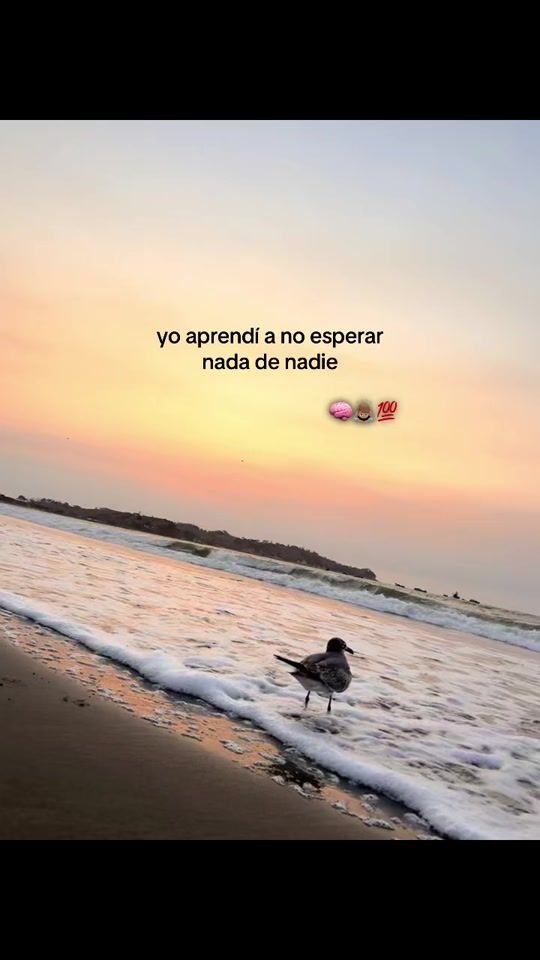 TikTok video thumbnail by yeaniel_mc16