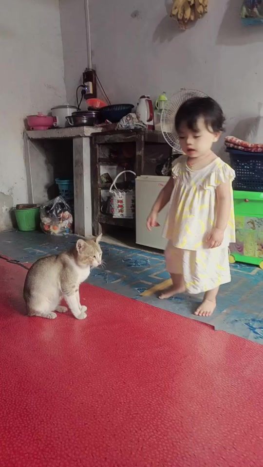 TikTok video thumbnail by ptkthaethae502