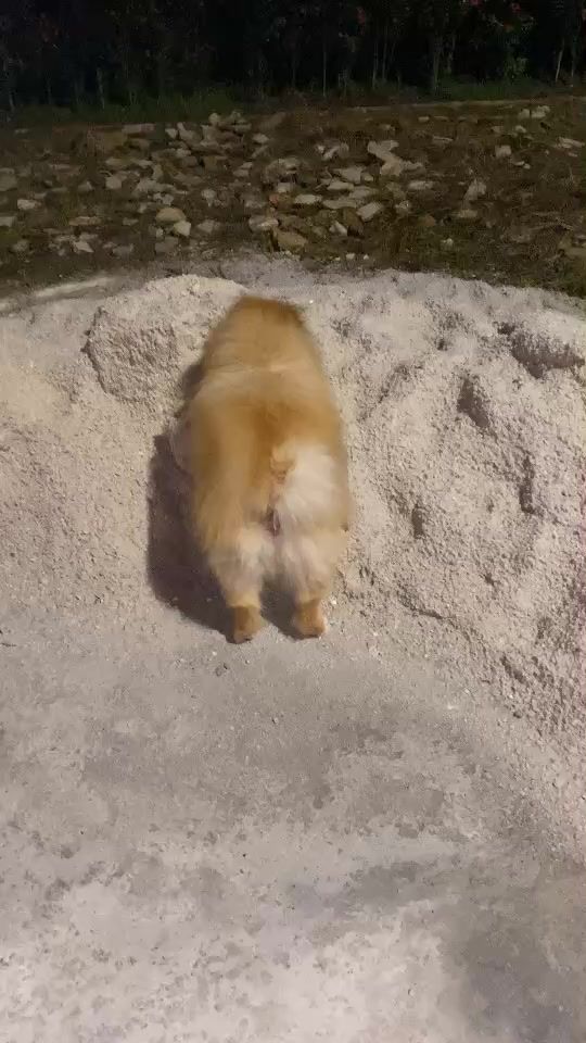 TikTok video thumbnail by benn_936