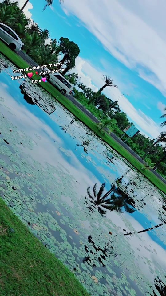 TikTok video thumbnail by jaane903