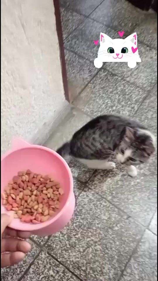 TikTok video thumbnail by claudiacorpe