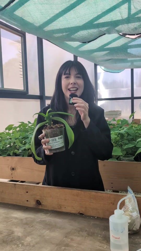 TikTok video thumbnail by deldesiertoflorjardinera