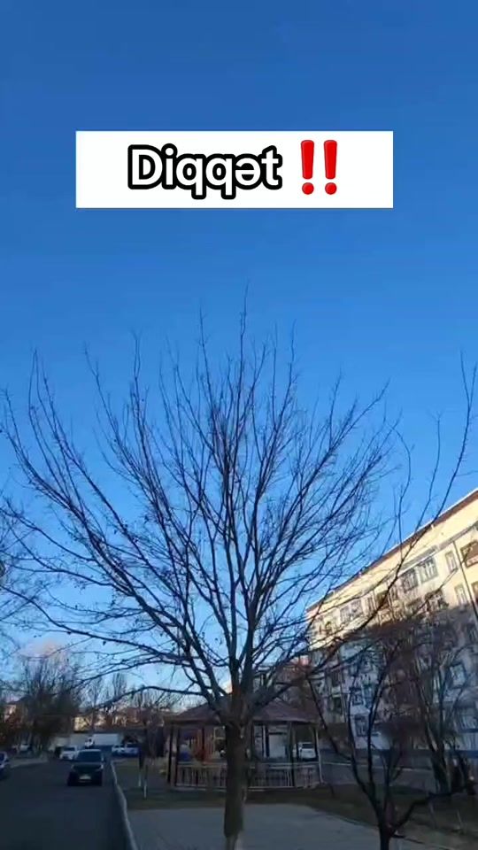 TikTok video thumbnail by boss.o75