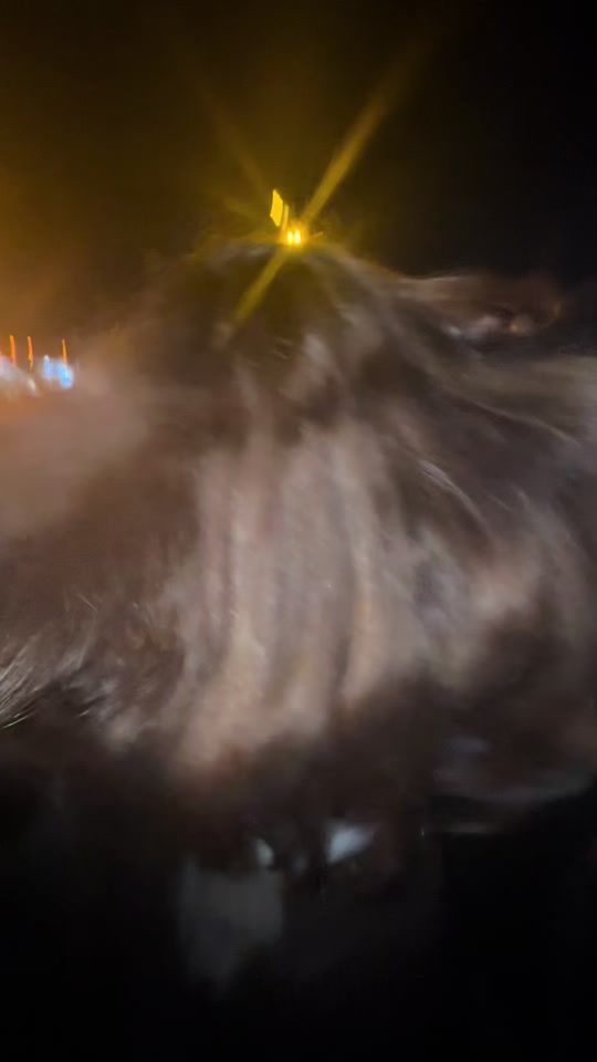 TikTok video thumbnail by magicmoon12