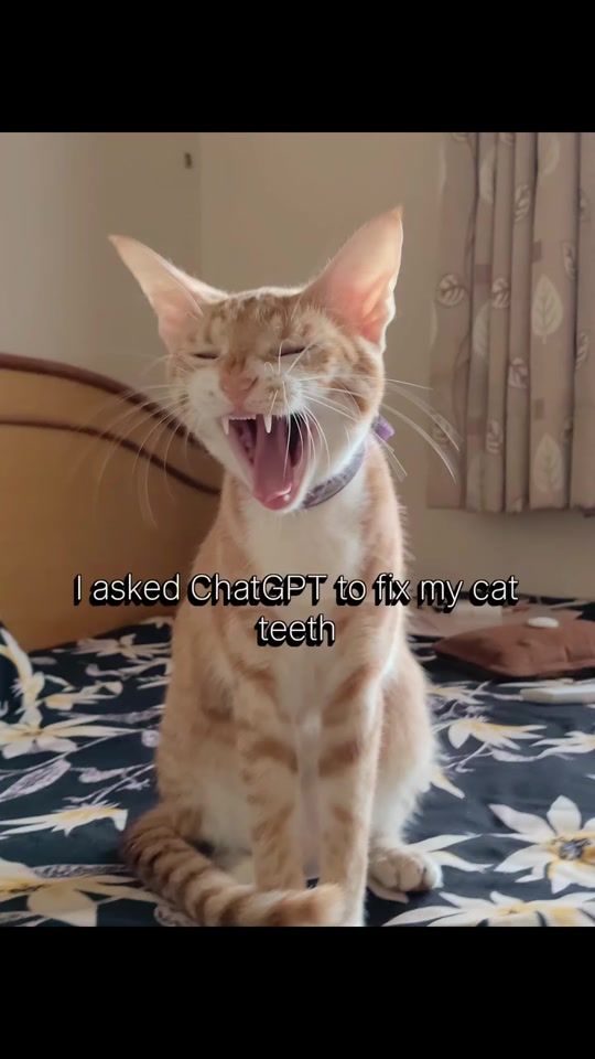 TikTok video thumbnail by sonik.official