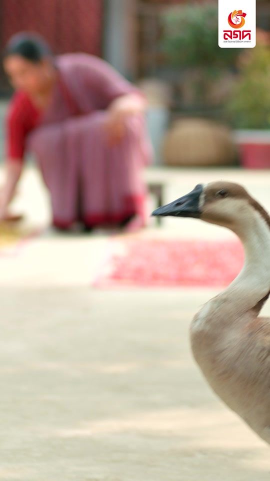 TikTok video thumbnail by nagad