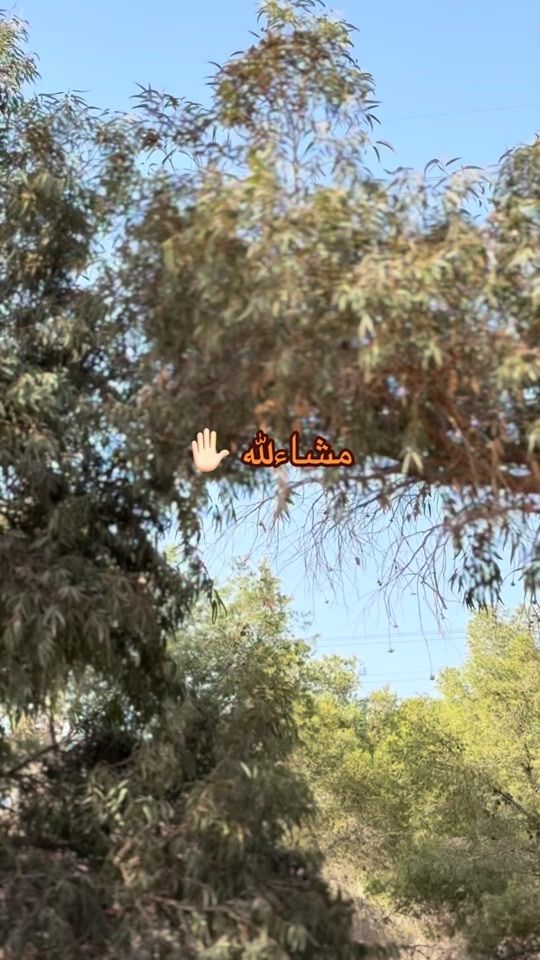 TikTok video thumbnail by abdosurmani