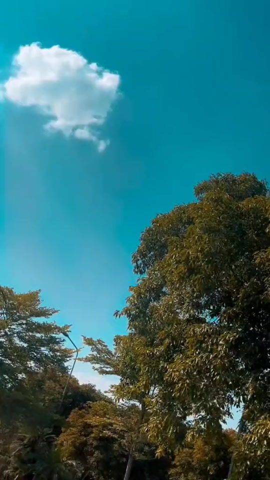 TikTok video thumbnail by mehwish_si836