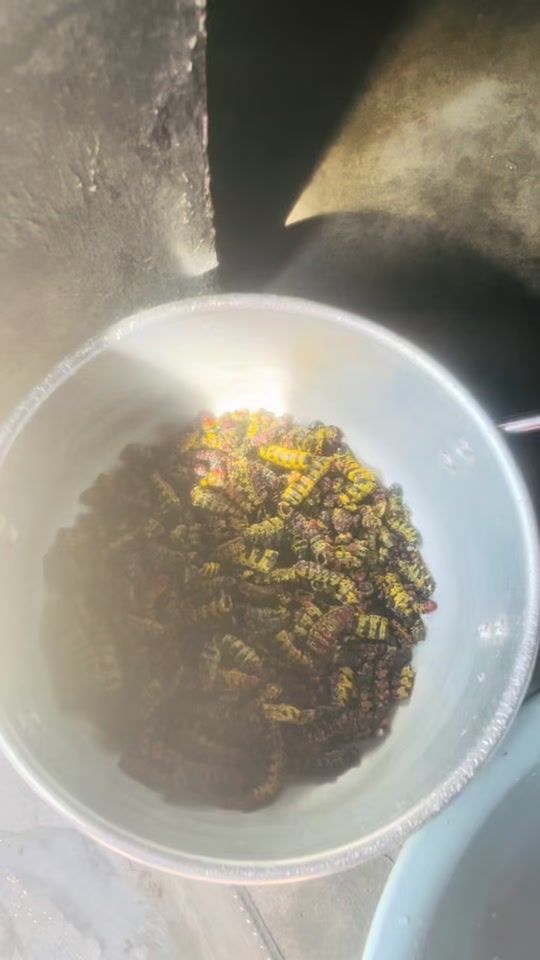 TikTok video thumbnail by orblanc88