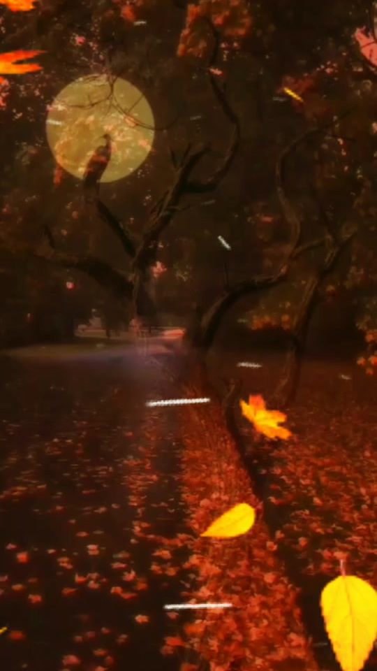 TikTok video thumbnail by __ses.siz__