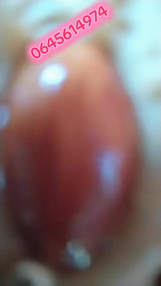 TikTok video thumbnail by sliman_aba3mran