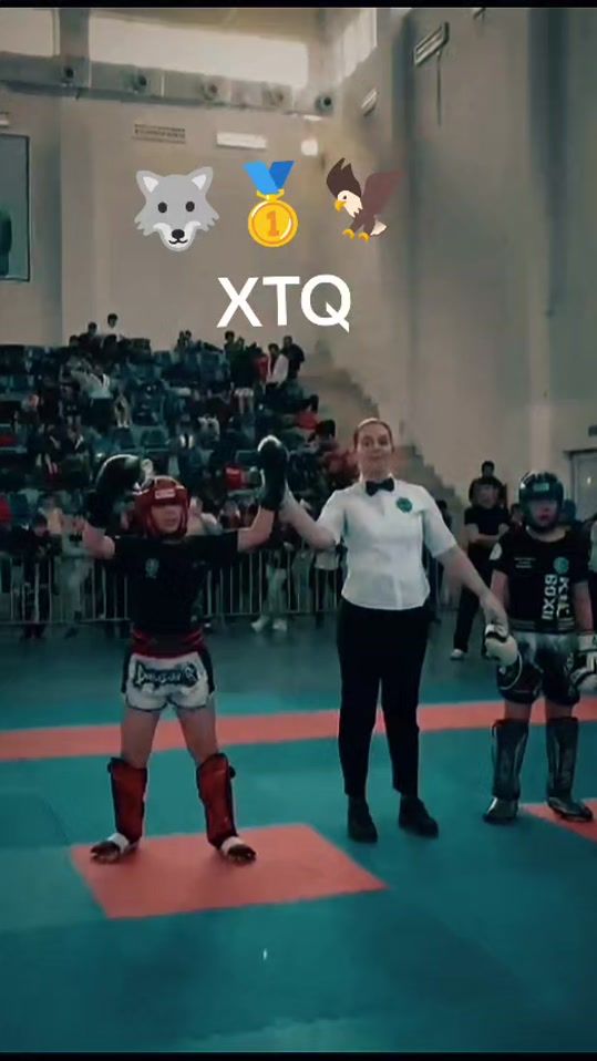 TikTok video thumbnail by xtq_im