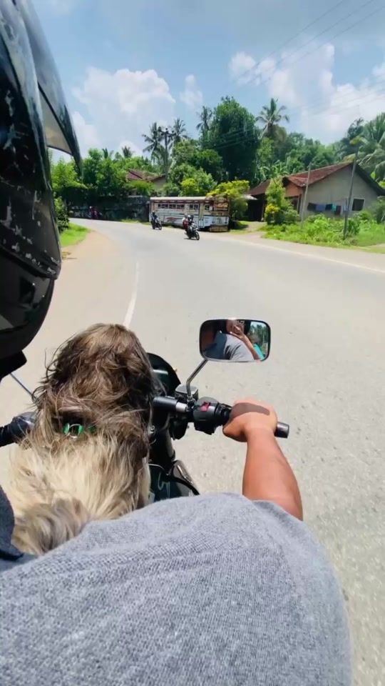 TikTok video thumbnail by pasiboy79