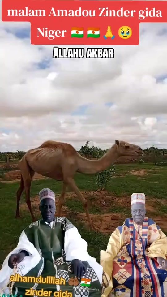 TikTok video thumbnail by roufairoufaii