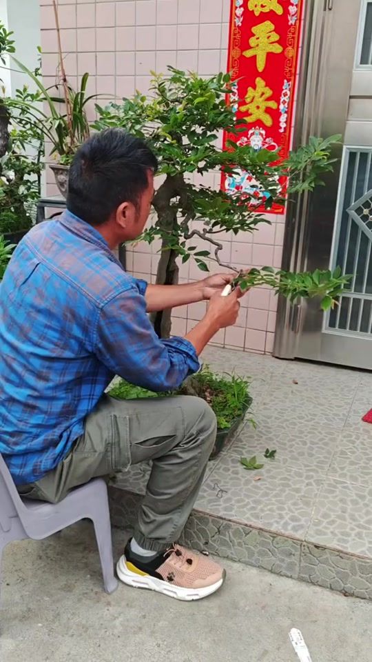 TikTok video thumbnail by v.danh406