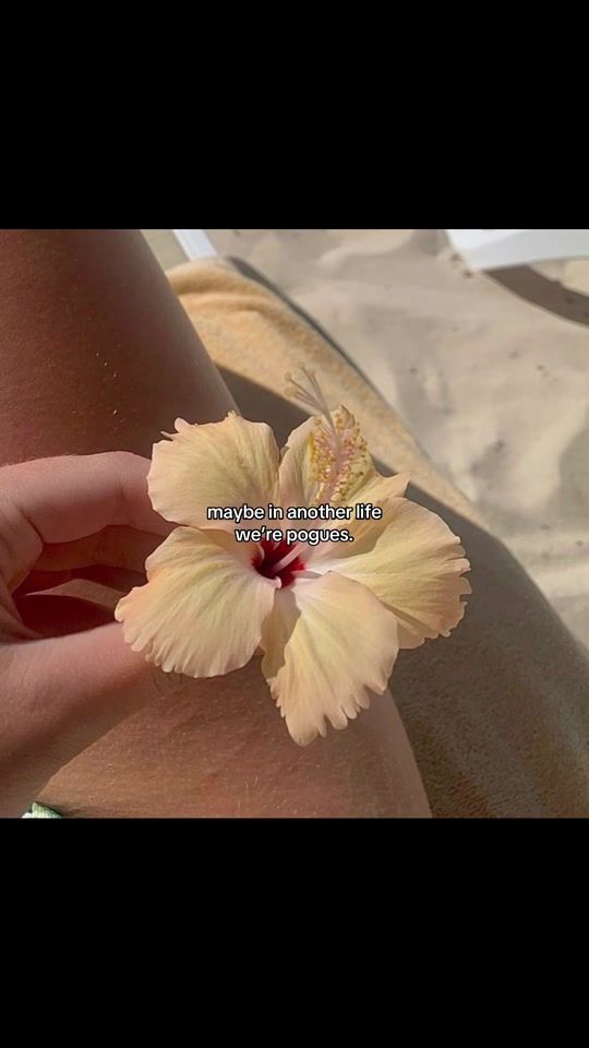 TikTok video thumbnail by obx_editsontop