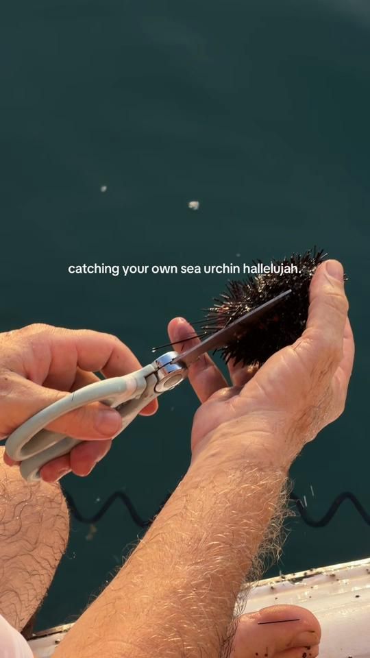 TikTok video thumbnail by sallsphee