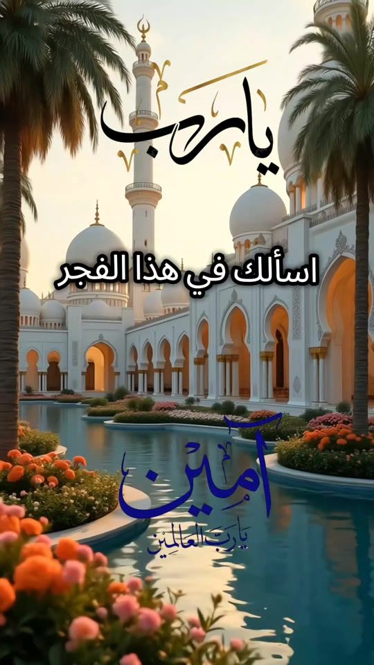TikTok video thumbnail by najatmajid8