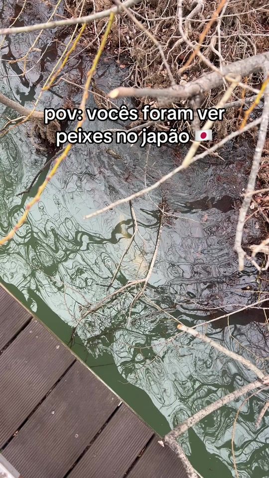 TikTok video thumbnail by seiji7_