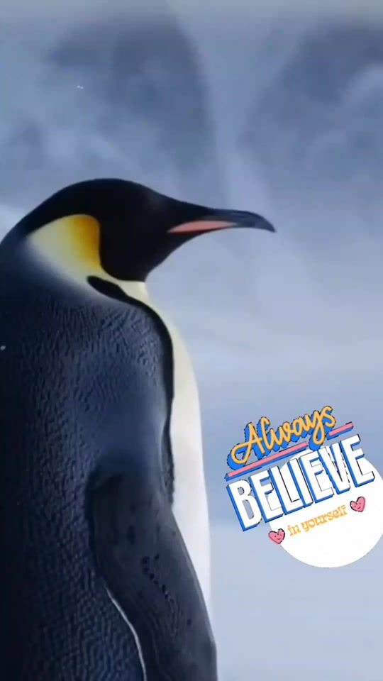 TikTok video thumbnail by abirthum171218