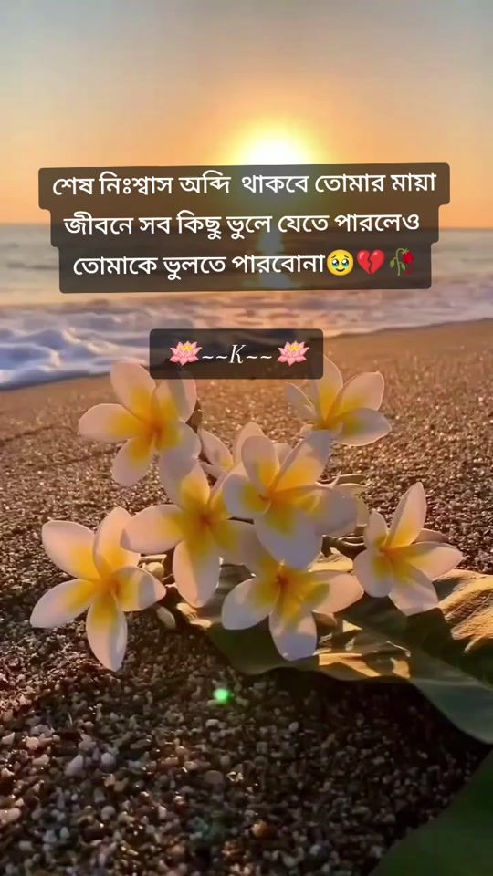 TikTok video thumbnail by user6630302488070