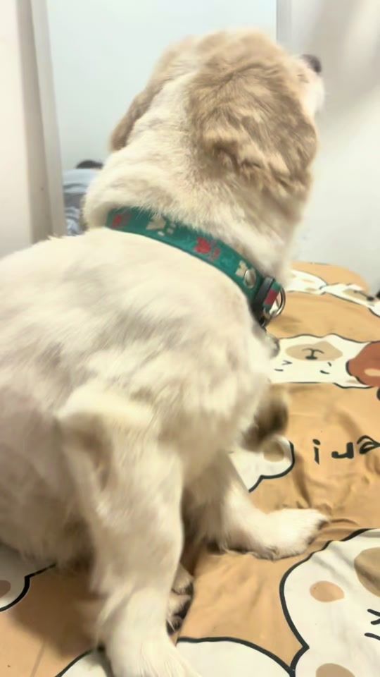 TikTok video thumbnail by yoonvlogs1