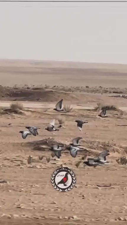 TikTok video thumbnail by a_r4030