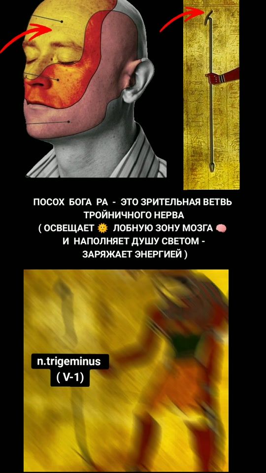 TikTok video thumbnail by amazing.omg