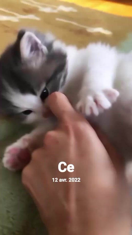 TikTok video thumbnail by regina.yanou