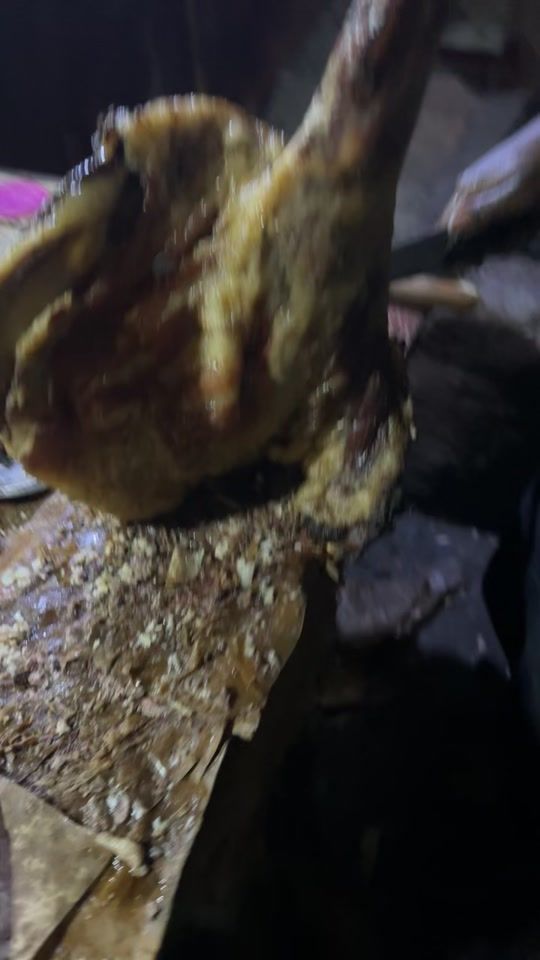 TikTok video thumbnail by rotiserkeneya11