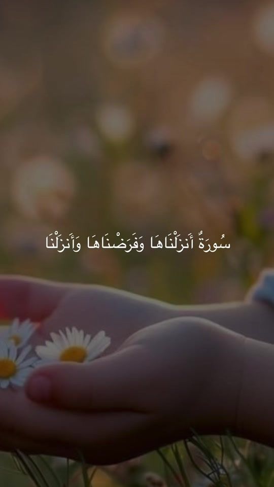 TikTok video thumbnail by sobhy1411