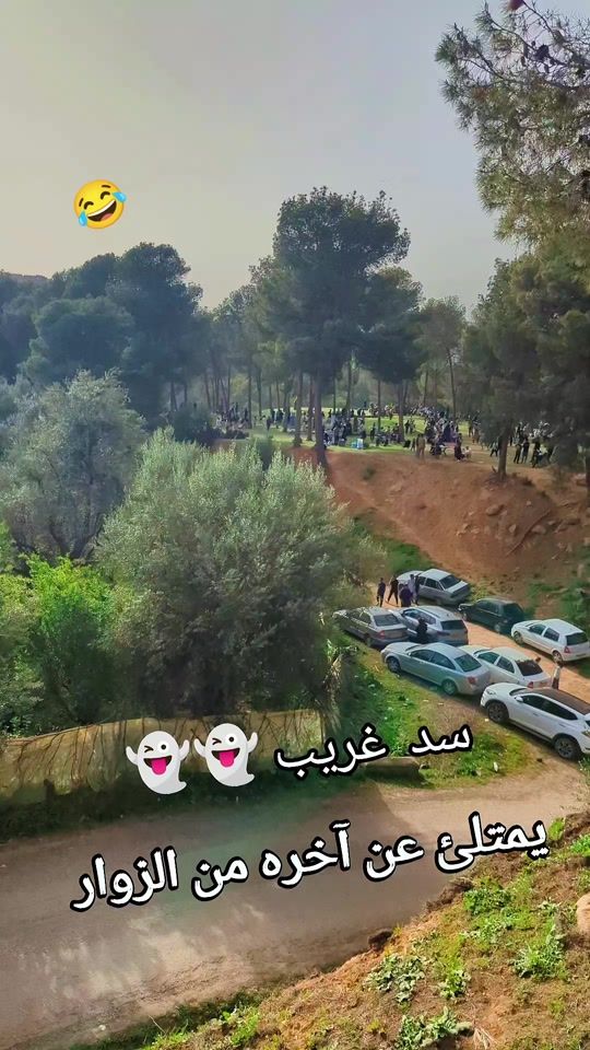 TikTok video thumbnail by mounir__ringo