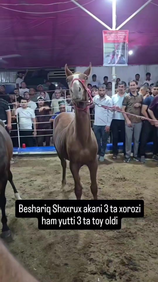 TikTok video thumbnail by 97.811.30.40