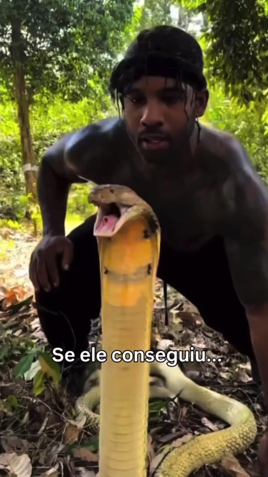 TikTok video thumbnail by casal.lm_