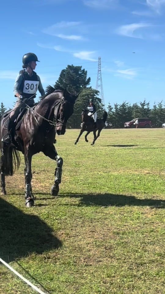 TikTok video thumbnail by brodieroberts.equestrian
