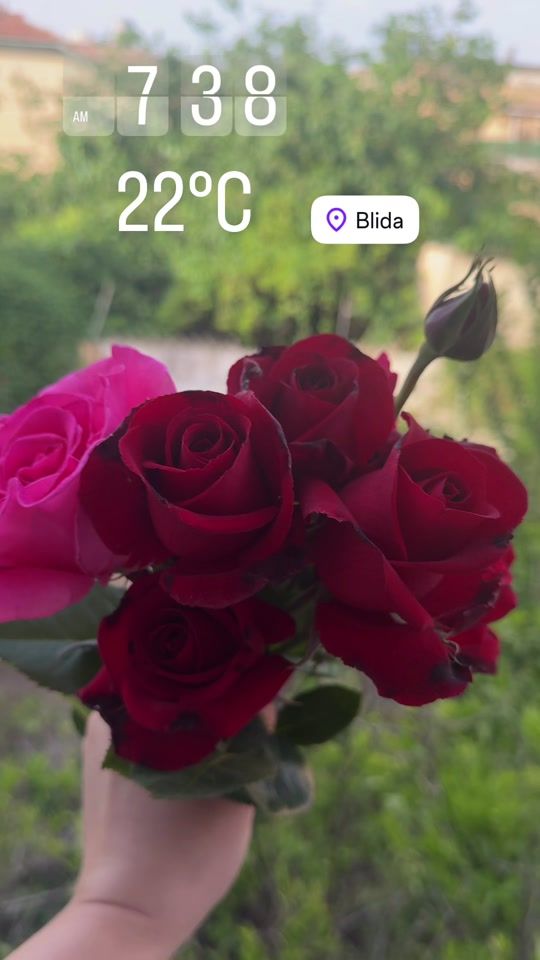 TikTok video thumbnail by amel.hjee