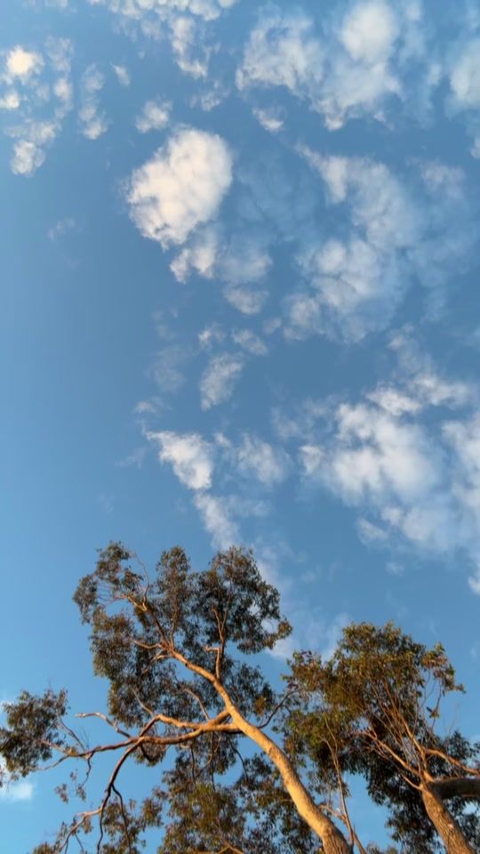 TikTok video thumbnail by gtownlino