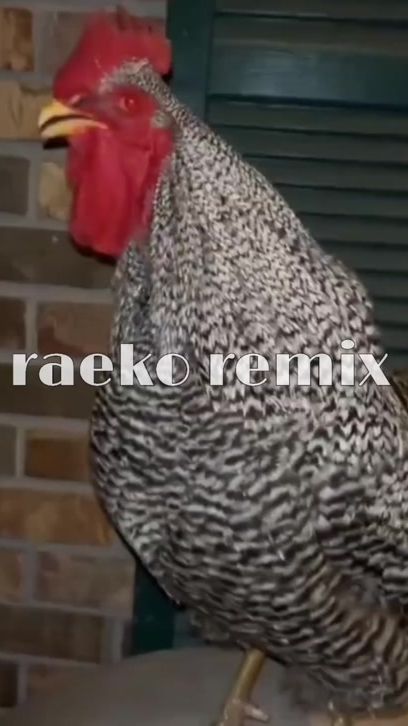 TikTok video thumbnail by raeko_remix