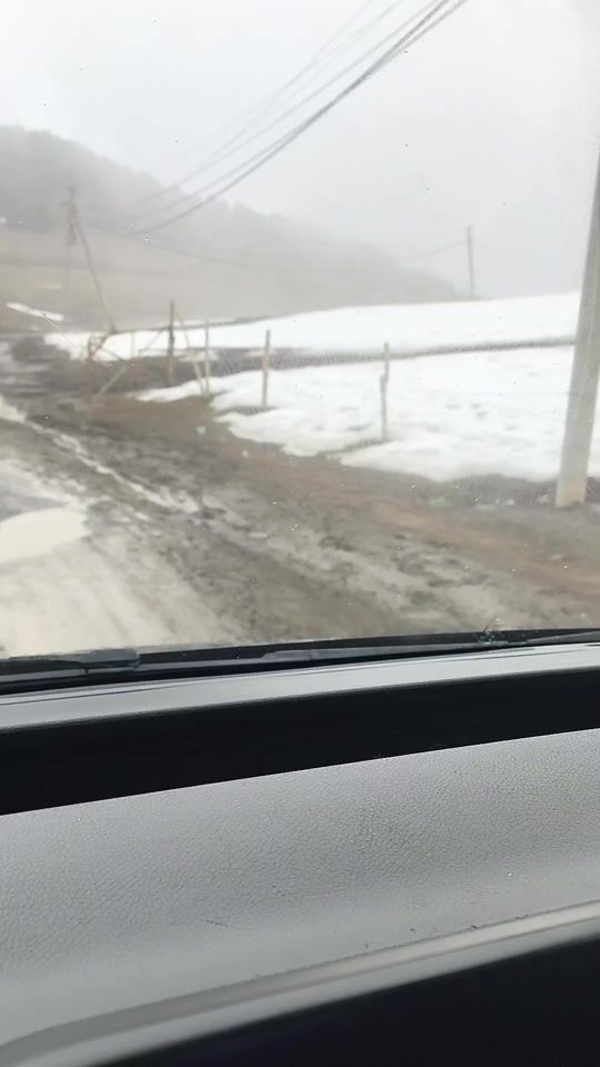 TikTok video thumbnail by hamidboyumarov
