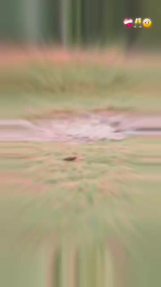 TikTok video thumbnail by mohinimohini3477
