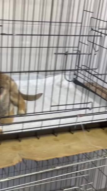 TikTok video thumbnail by rima47494