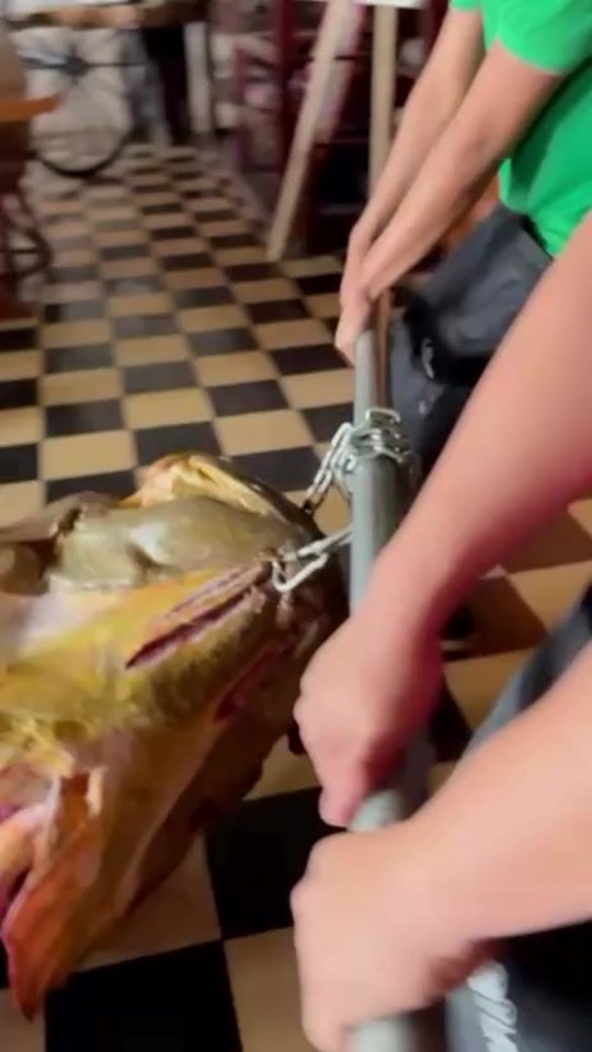 TikTok video thumbnail by m.aljaper
