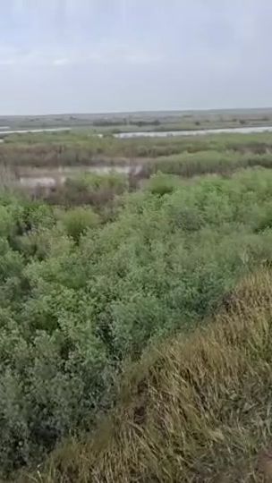 TikTok video thumbnail by 74w_k