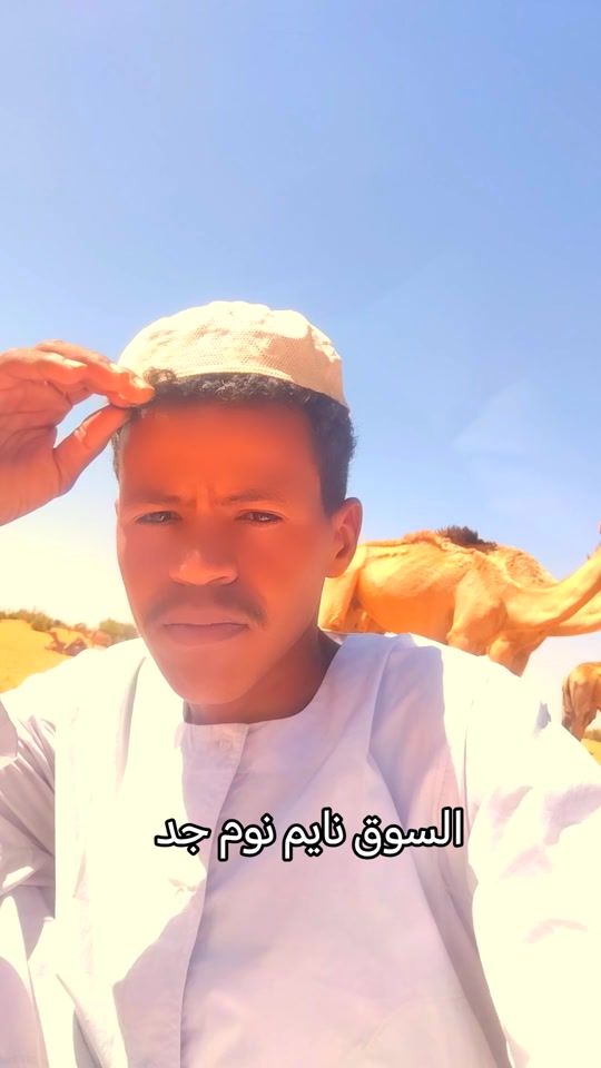 TikTok video thumbnail by user11667935008174
