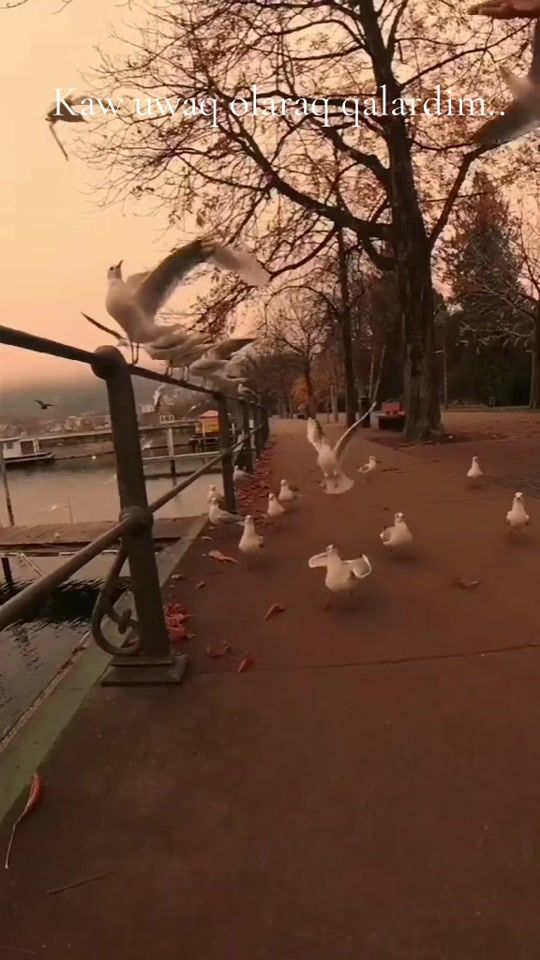 TikTok video thumbnail by yalan.dunya7131