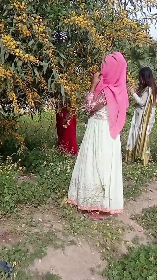 TikTok video thumbnail by user95496594800792